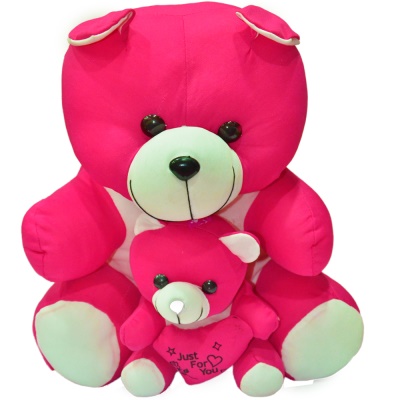 Beautiful Baby and Mother Teddy Bear for kids